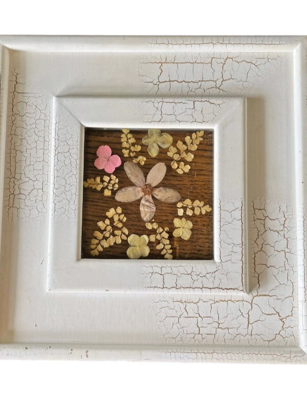 Vintage Floral Framed Art Wildflower Pressed White Square Good Condition